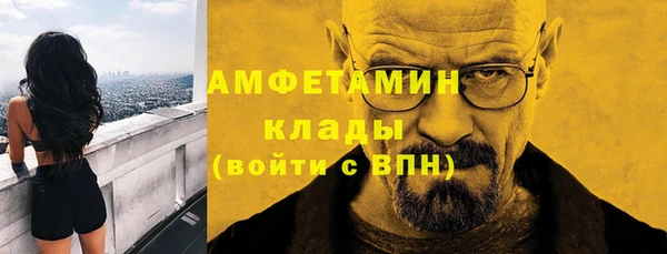 гидра Белокуриха