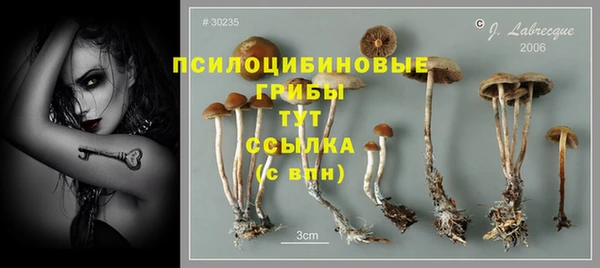 ГАЛЛЮЦИНОГЕННЫЕ ГРИБЫ Белоозёрский