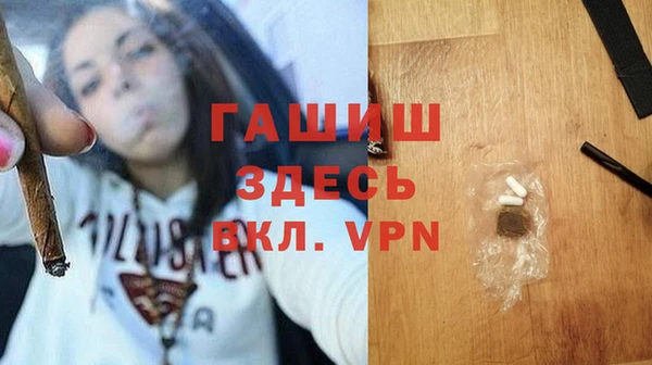 гидра Белокуриха