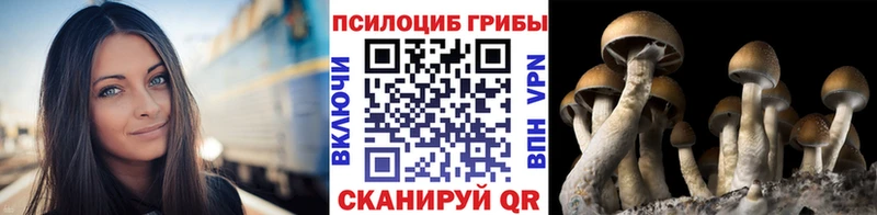 Псилоцибиновые грибы Magic Shrooms  Горячий Ключ 